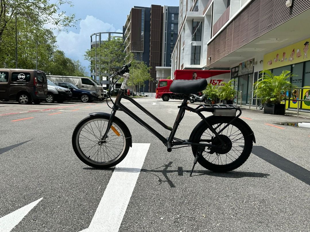 kudu electric bicycle QualiSports DOLPHIN Designed for adventurers Kudu Electric Bike 20inch |