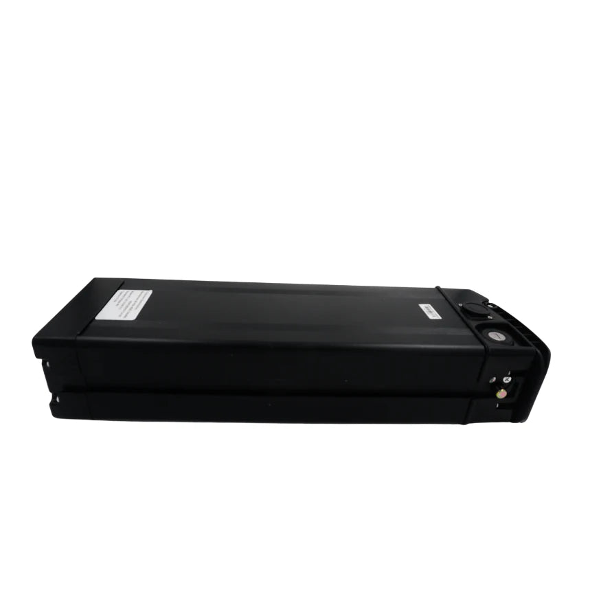 EZYGO URBAN FLOW Original Battery 48V 19.2AH