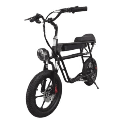 48V 12.8Ah Drive S2 E-Scooter