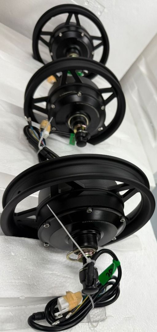 12inch EZYMOTOR 48V 250W/350W/500W for FIIDO PMD
