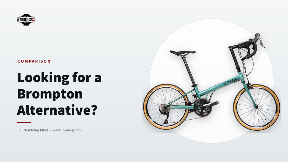 TIERA FRD22 Racing folding bike in teal, side view