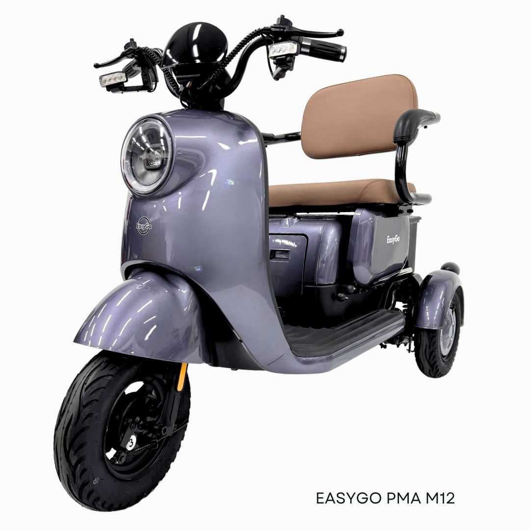 EZYGO PMA M12 (Export Set)