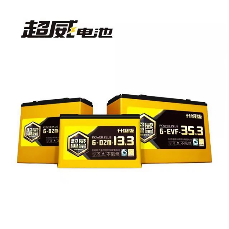 Pma Battery 24v 20ah/12ah