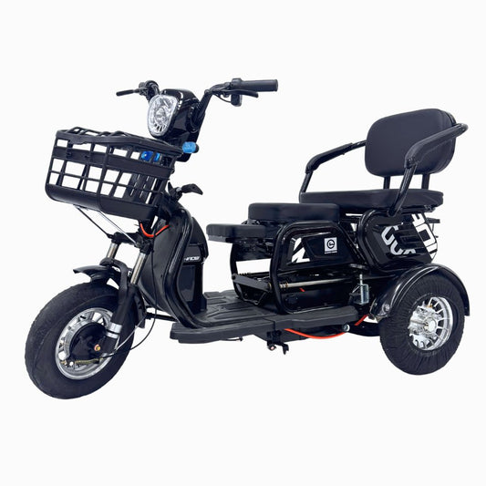 EZYGO PMA Jint 3 Seaters 48v 600W(Export Set)