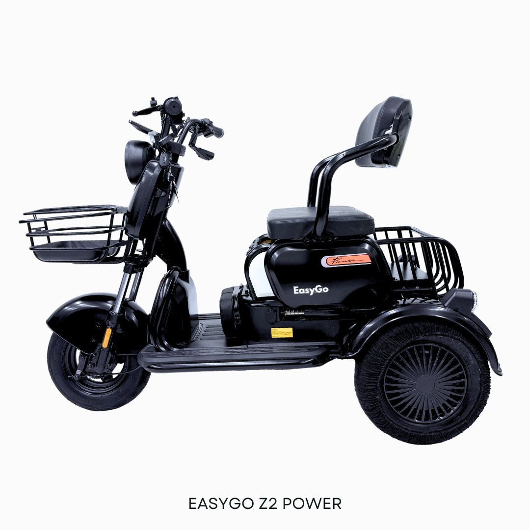 EZYGO PMA Z2 Power (Export Set) ( Pre-Order only )