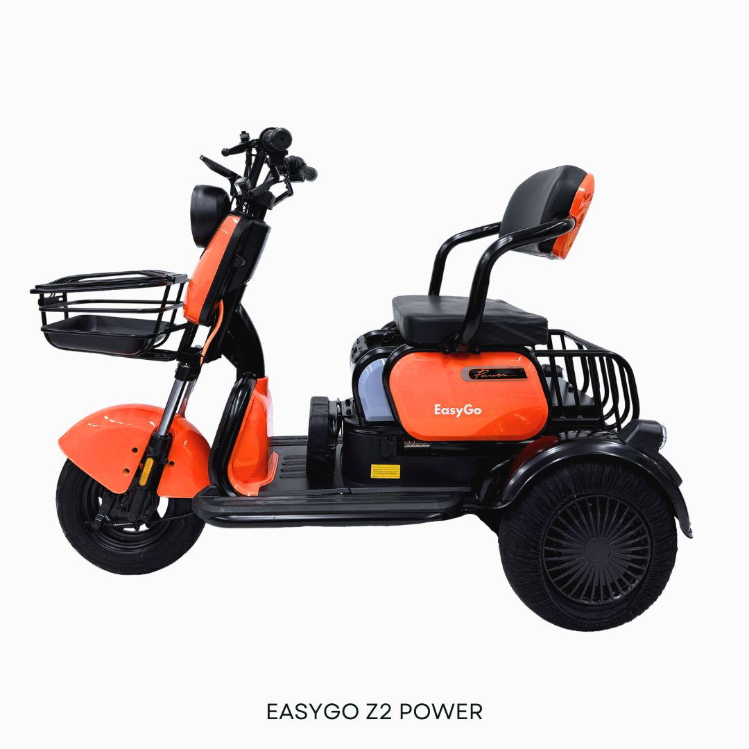 EZYGO PMA Z2 Power (Export Set) ( Pre-Order only )