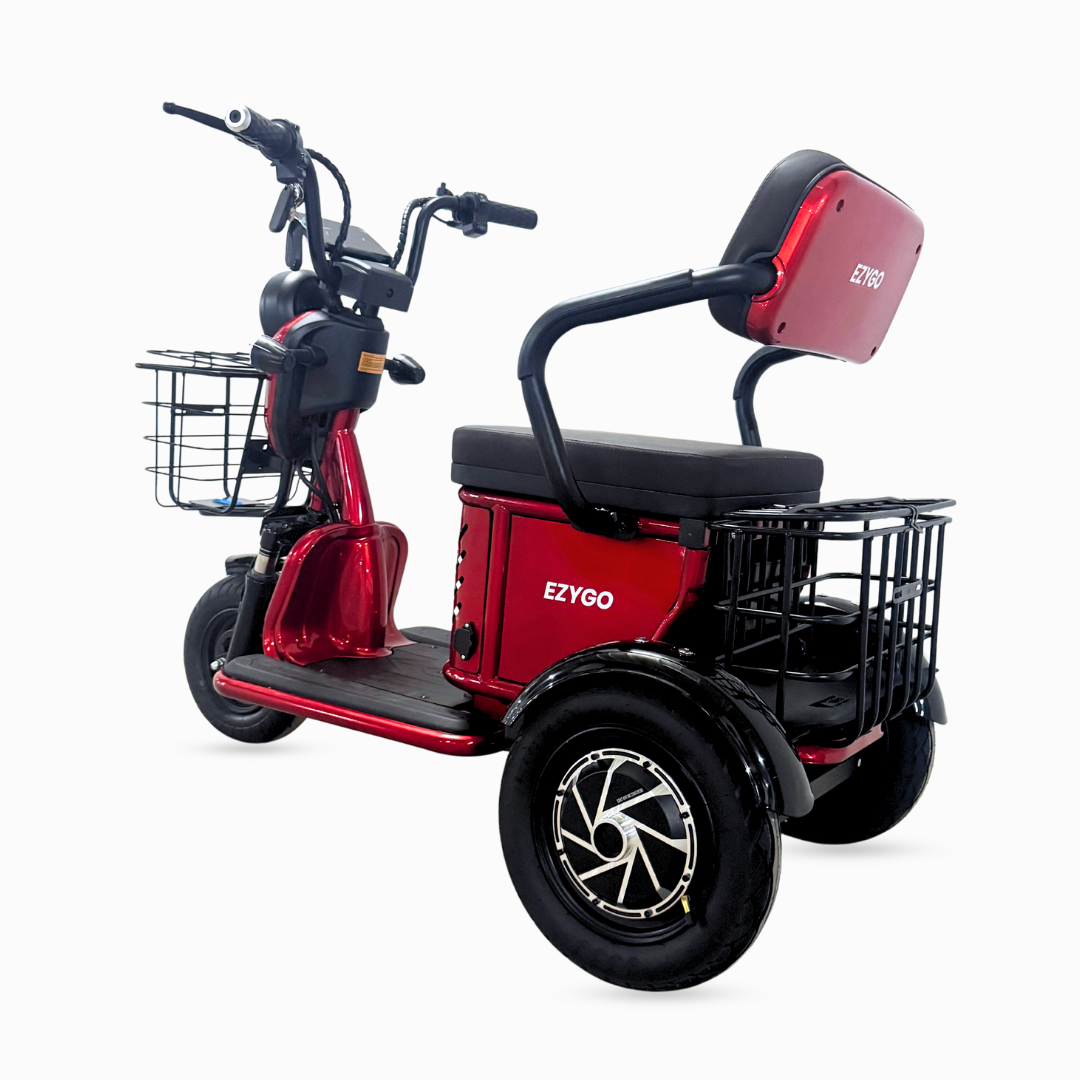 EZYGO PMA Compact 2 | LTA Compliant