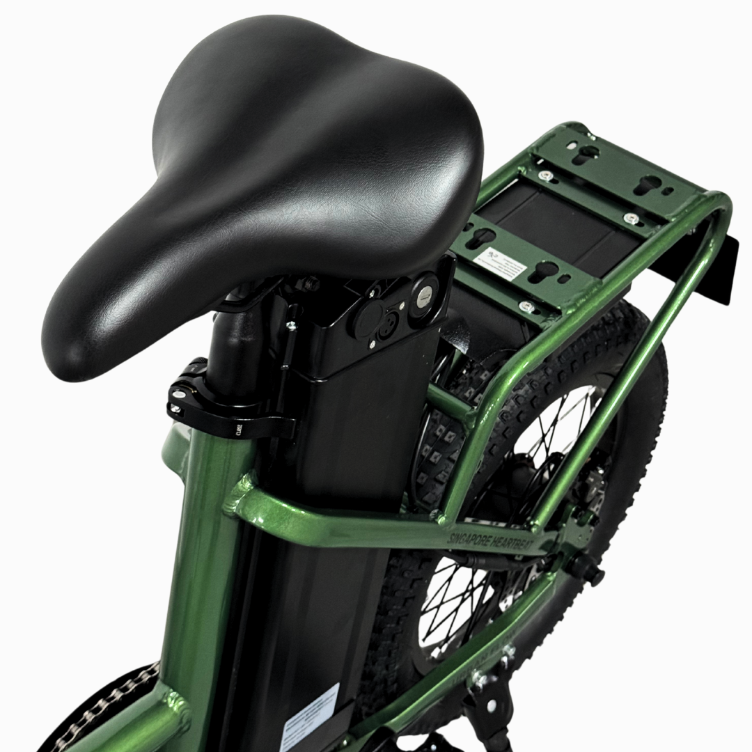 EZYGO Urban Flow  Electric Bicycle Ebike | 48V 19.2AH | LTA Approved and EN15194:2017 Certified PAB | LATEST  EBIKE in 2025