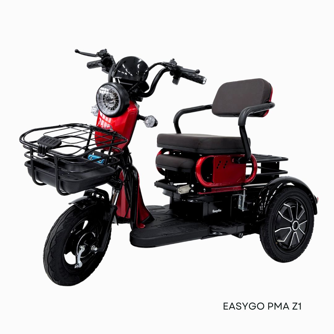 EZYGO PMA Z1 (Export Set)