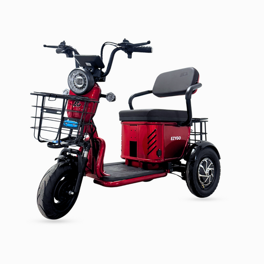 EZYGO PMA Compact 2 | LTA Compliant