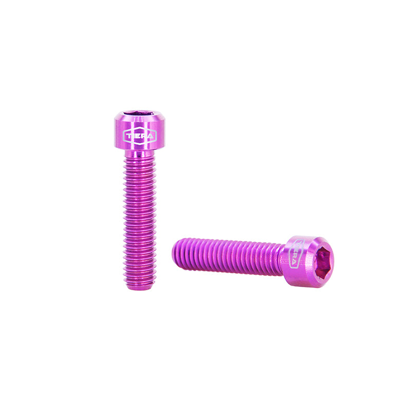 M6 x 25mm socket cap head screws