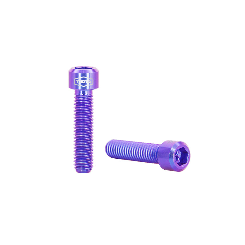 M6 x 25mm socket cap head screws