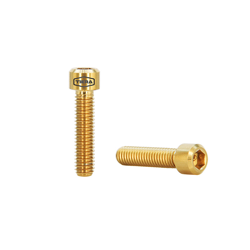 M6 x 25mm socket cap head screws