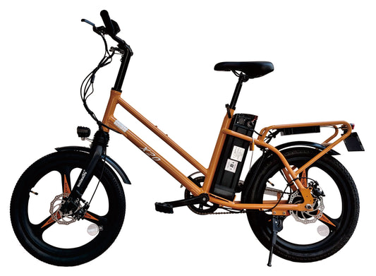 MAXIMALSG Ebike PAB 20 inch X20 48V Flexible LG cell