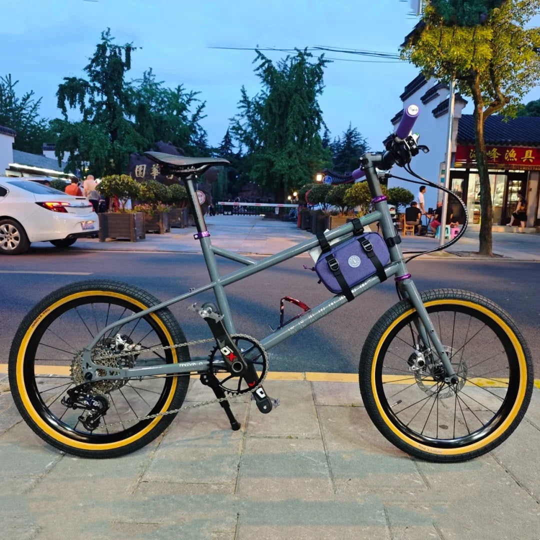 Seaboard D20 -1 Mini Velo Frame 451 Small Wheel Road Bicycle Frameset Chromoly Steel Internal Cable Routing Disc Brake Framework