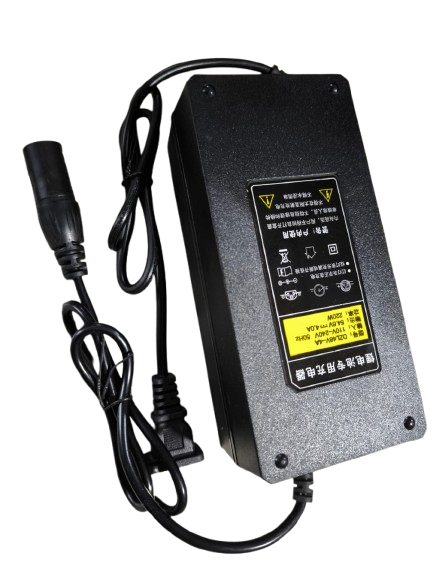 DZL 48V-4A Lithium Battery Smart Charger