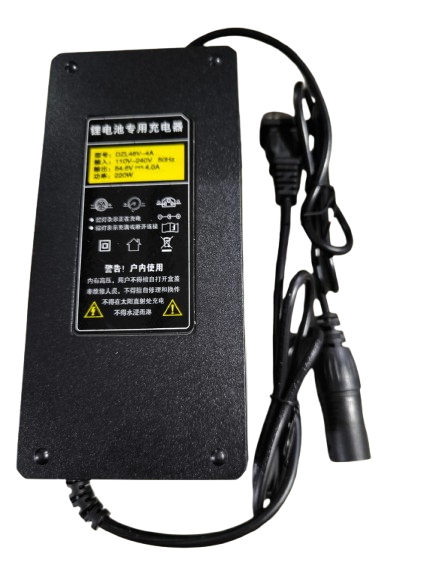 DZL 48V-4A Lithium Battery Smart Charger