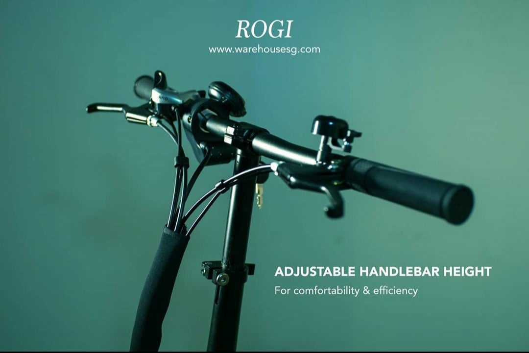 ROGI 16 Electric Bicycle | 36V 7.5AH | Shimano 6 Gear | EN15194 | Foldable Ebike (LTA Approved)