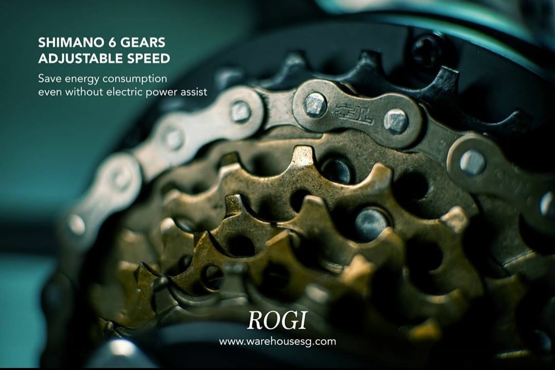 ROGI 16 Electric Bicycle | 36V 7.5AH | Shimano 6 Gear | EN15194 | Foldable Ebike (LTA Approved)