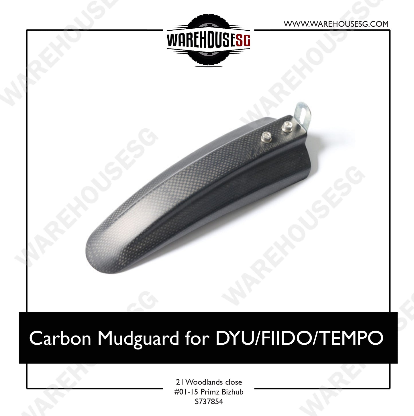 Carbon Mudguard for DYU/FIIDO/TEMPO