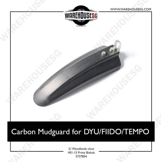 Carbon Mudguard for DYU/FIIDO/TEMPO