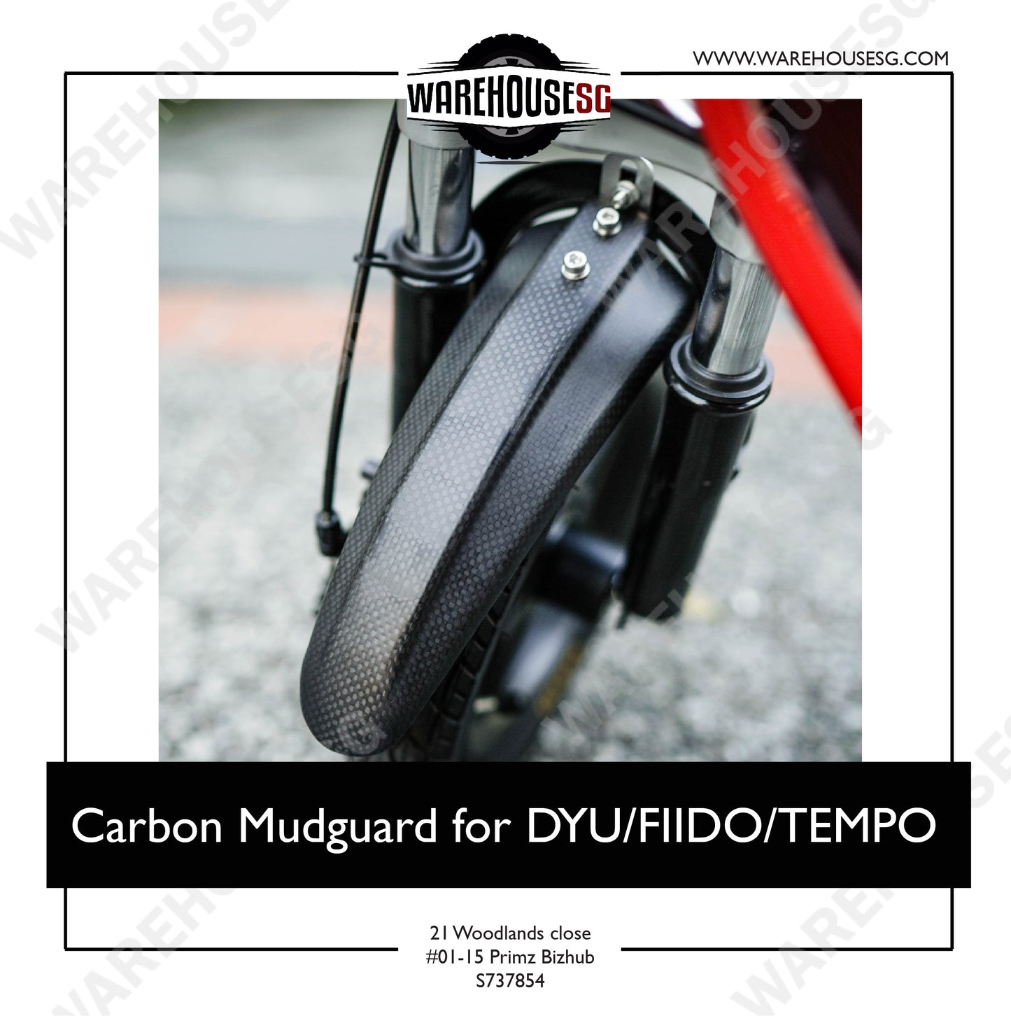 Carbon Mudguard for DYU/FIIDO/TEMPO